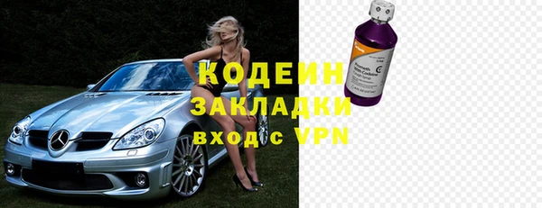 прущие грибы Вяземский