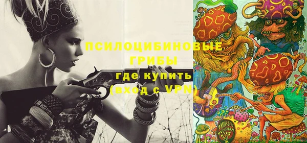 амф Вязьма