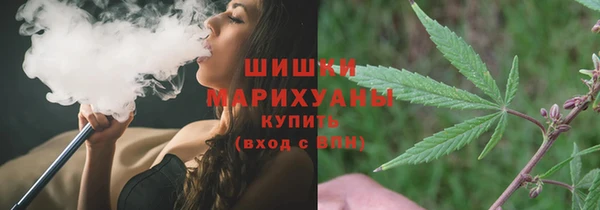 прущие грибы Вяземский