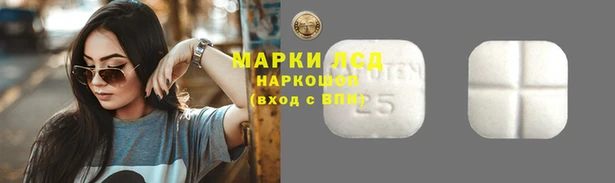 прущие грибы Вяземский