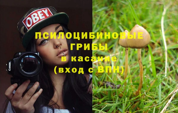 прущая мука Вязники