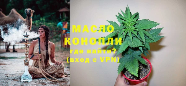 прущие грибы Вяземский