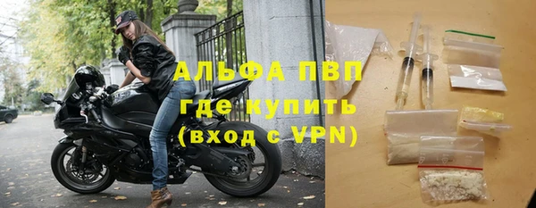 прущие грибы Вяземский
