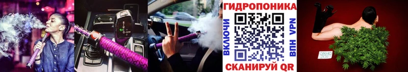 Каннабис MAZAR  Грязи 